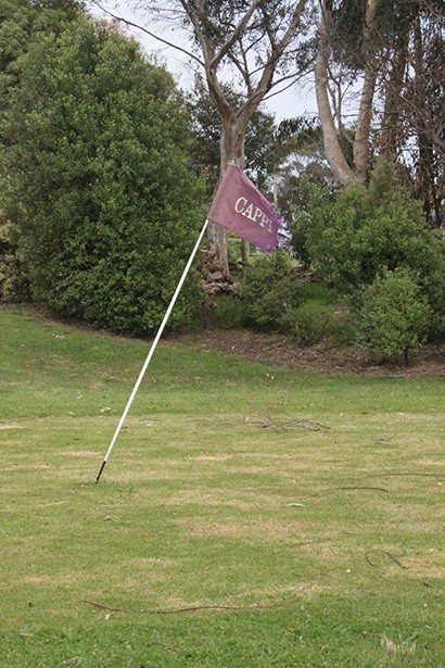 cappi flag cappi flag