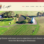Cappi Estate website design